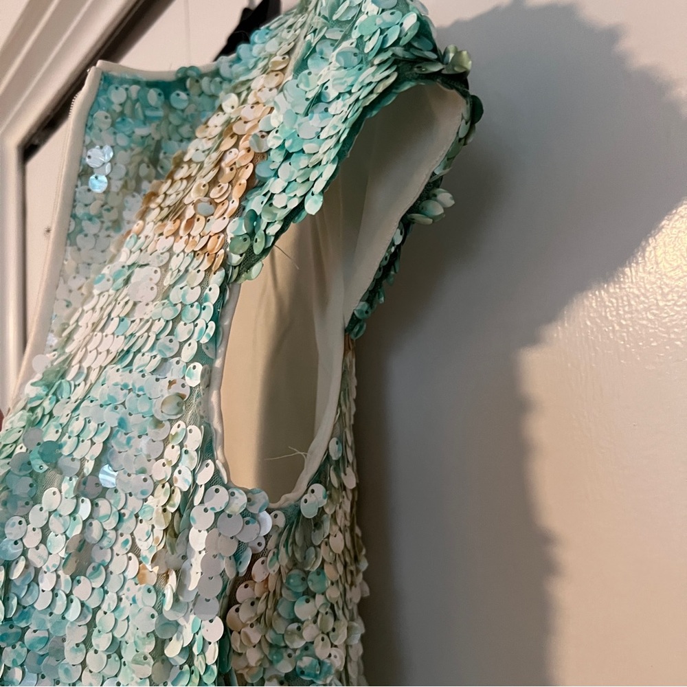 Sequin Cap-sleeve fitted Dress - Picture 13 of 14